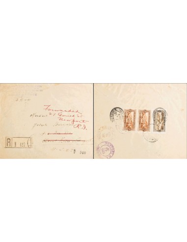 Gran Líbano. Sobre Yv 57, 59(2). 1925. 2 fr sepia y 3 fr castaño, dos sellos (todos los sellos franqueados al dorso). Certific