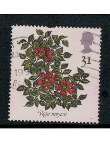 1991. Sello rosas 31 p de Reino Unido